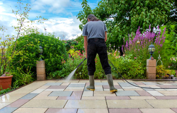 Best Winterizing Services  in Clermont, FL